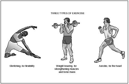 Health Exercise from Michael Fitness